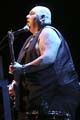 popachubby2010 018