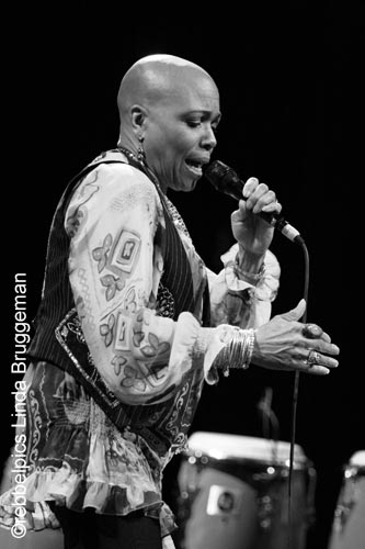 dee dee bridgewater (15)