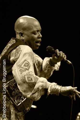 dee dee bridgewater (22)