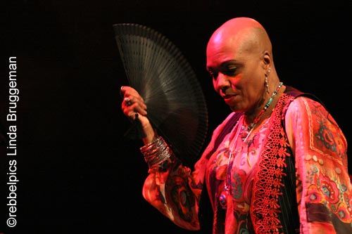 dee dee bridgewater (25)