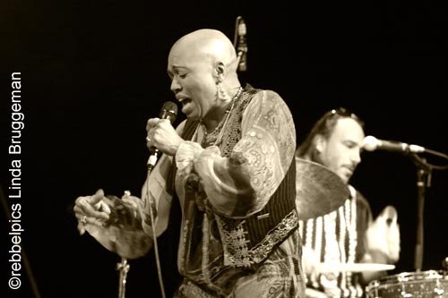 dee dee bridgewater (26)