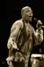 dee dee bridgewater (14)