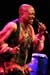 dee dee bridgewater (21)