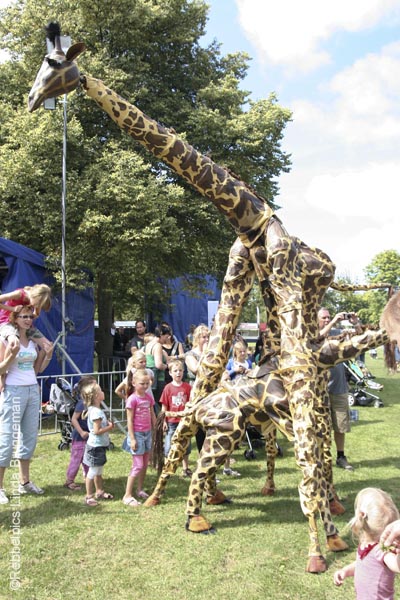 publiek@waterpop2009 (16)